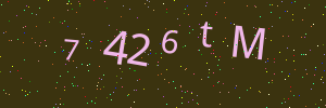 Validation image